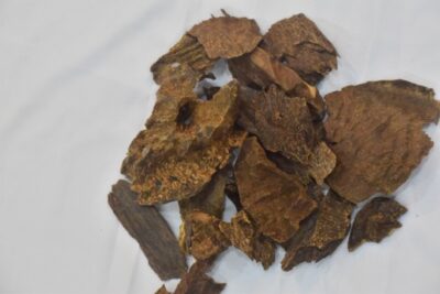 Chaadd Agarwood1 Chaadd Agarwood DCA