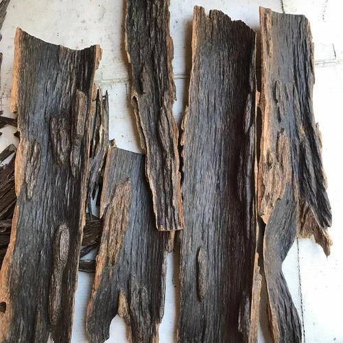 KolaGasi Agarwood1 Kolagasi Agarwood DKA