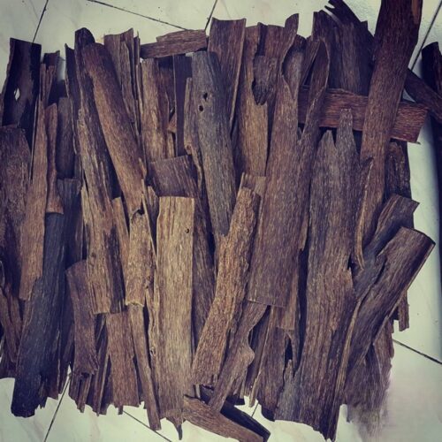 Kolagasi Agarwood DKB
