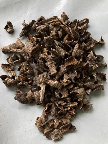 Maroki Agarwood-1 Moori Agarwood DAMR