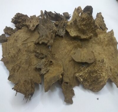 Chaadd Agarwood DAC
